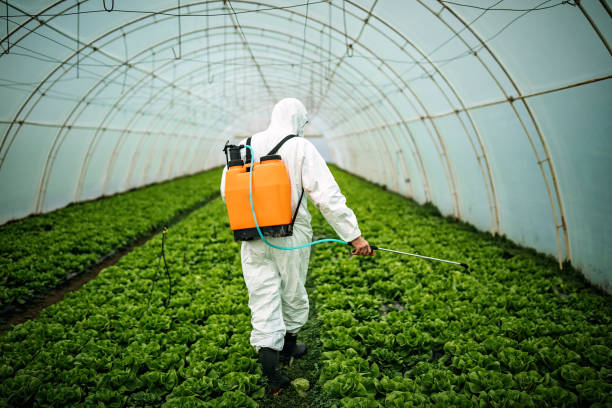 Best Mosquito Control Services  in Leadville, CO