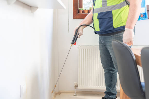 Wasp Removal Services in Leadville, CO