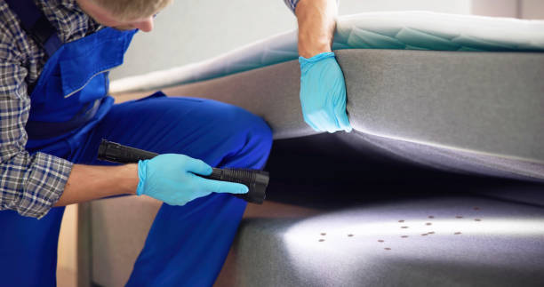 Best Local Pest Control Services  in Leadville, CO