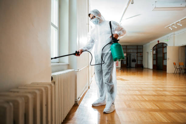 Reliable Leadville, CO Pest Control Solutions
