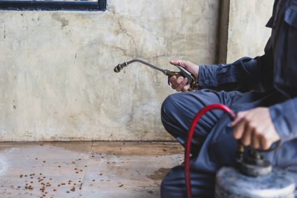 Best Pest Prevention Services  in Leadville, CO